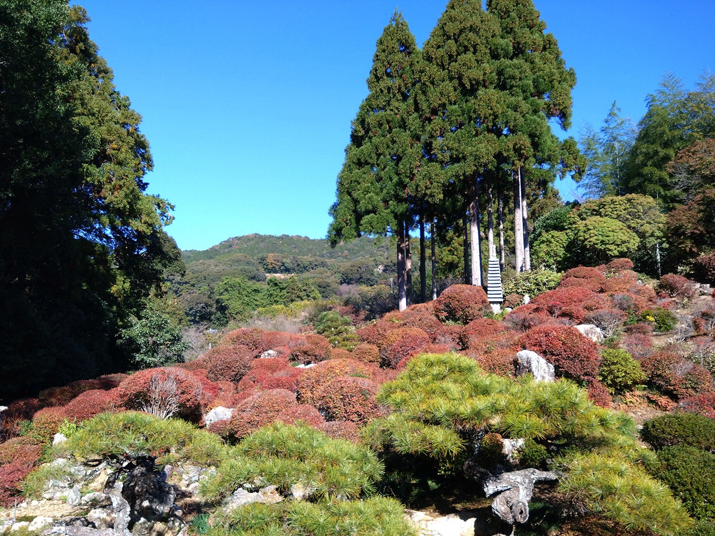 長楽寺奥之院特別公開